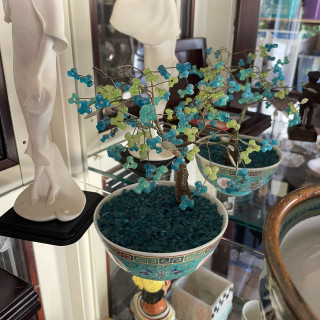 Bonsai Tree in Hand-painted Pot
